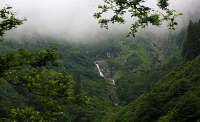 Çamlık Yaylası